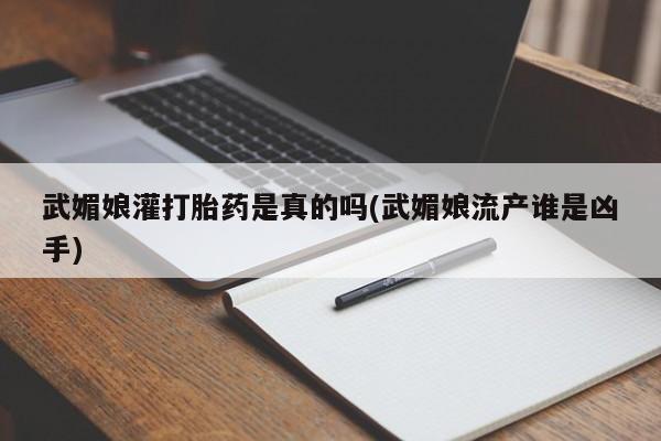 药流药购买武媚娘灌打胎药是真的吗(武媚娘流产谁是凶手)